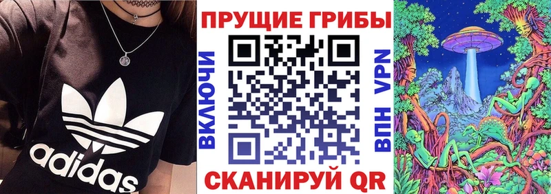 Псилоцибиновые грибы мицелий  Мензелинск 